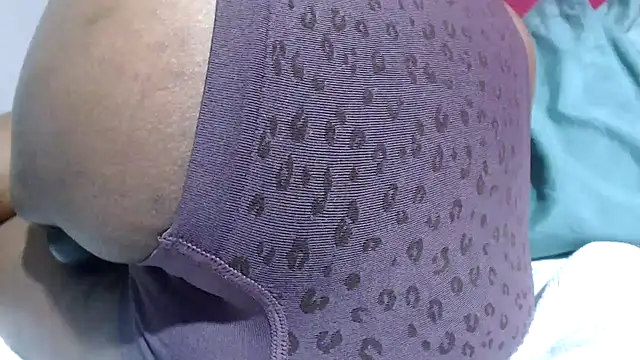 Bracylia webcam
