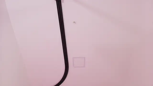 Malaia_thompson_ webcam