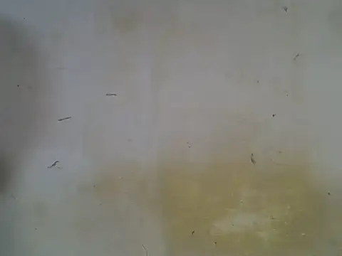 pretty_sunshine webcam