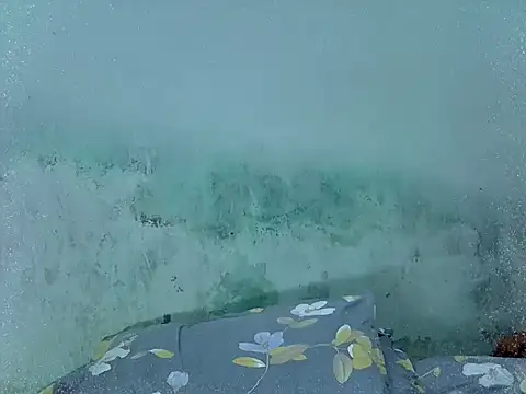Nastyval webcam