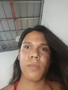 FynestBee webcam