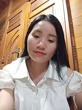Td3di webcam
