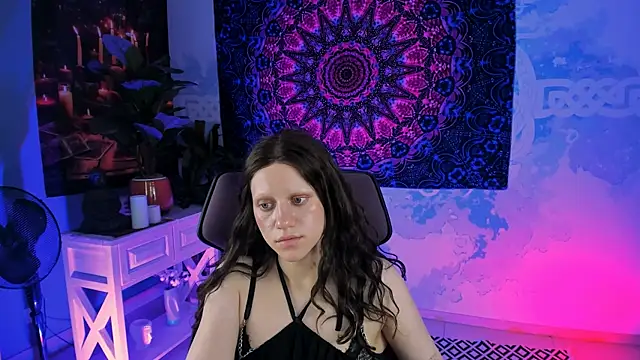 LidaDarknet webcam