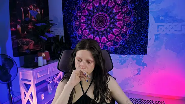 LidaDarknet webcam