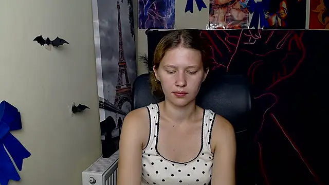 StellaCRL webcam