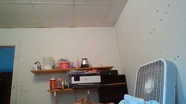 starlight1983 webcam