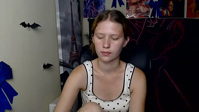StellaCRL webcam
