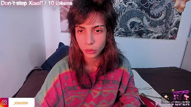 XiaoStar webcam