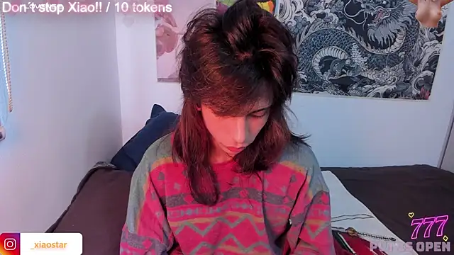 XiaoStar webcam