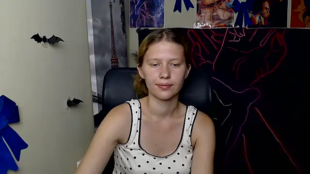 StellaCRL webcam