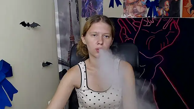 StellaCRL webcam