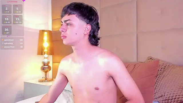 Ohricky webcam