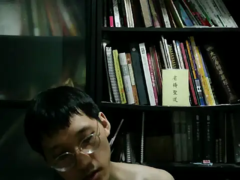 Lv8763 webcam