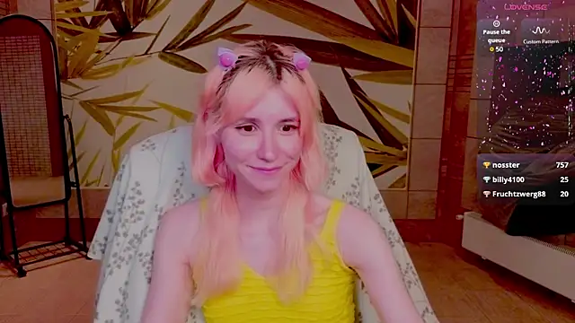 fleximona webcam