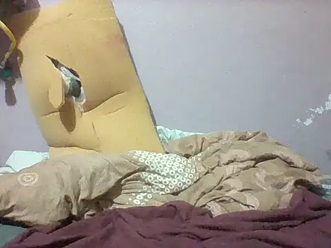 mislover webcam