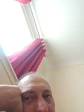 Primalking webcam