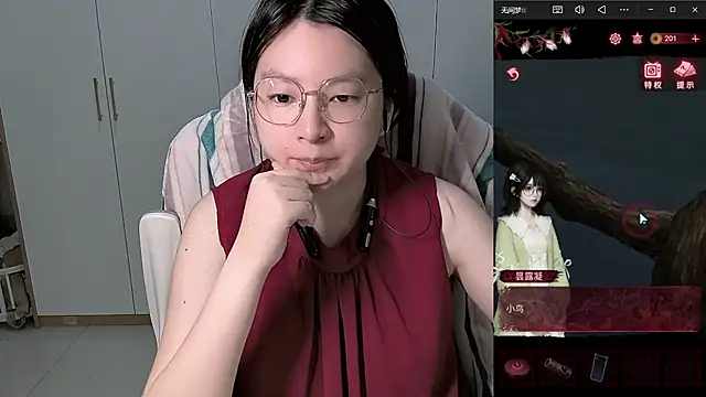 Erya-369 webcam