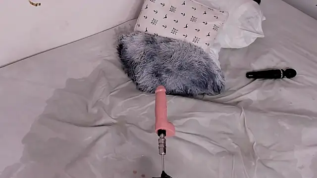 Katta_Gil webcam