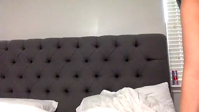Natural_DDD webcam