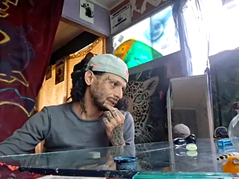Toycockhot webcam