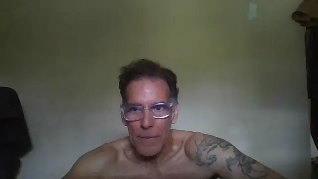 CaptainFox webcam