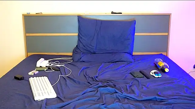 DENIS_HERE webcam