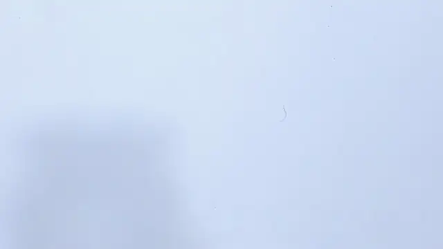 valentinasu live webcam