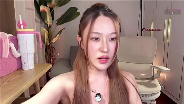 -Mona-Lisa- webcam