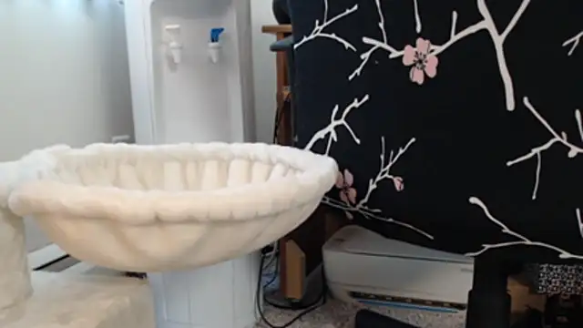 Juicy_Julie469 webcam