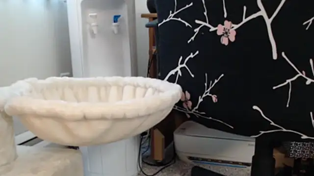 Juicy_Julie469 webcam