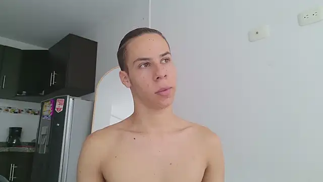 grey___27 webcam