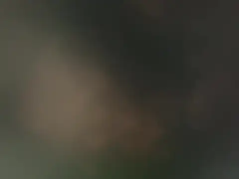bigdick20101 webcam