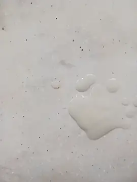 studdd716 webcam