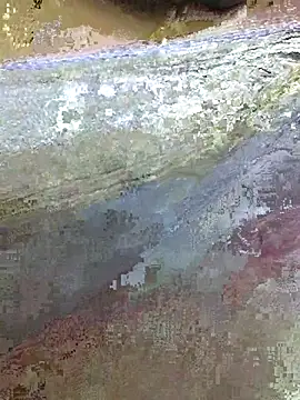 prethutamil webcam