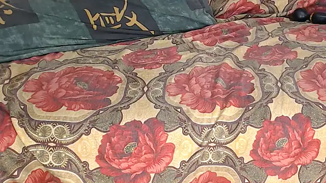 netuhubby webcam