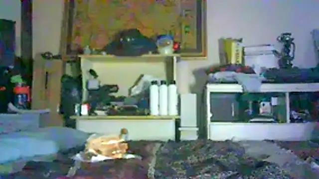 CR3M3_FIR3 webcam