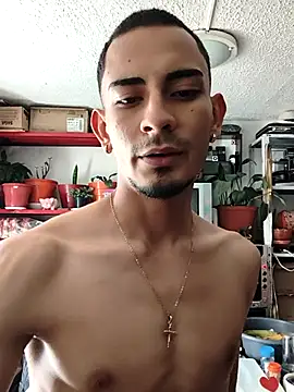 Exlifer webcam