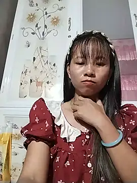 Wily-06 webcam