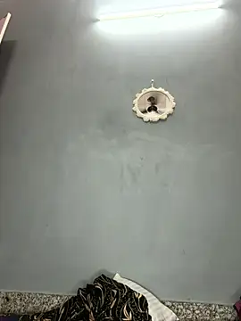 hot8178 webcam