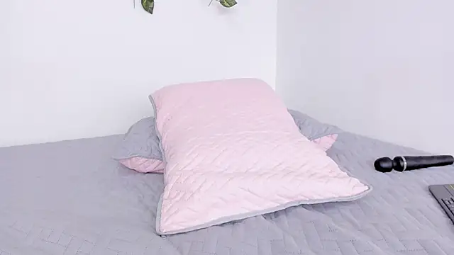 Laurensmith9 webcam