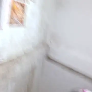Riya45326 webcam