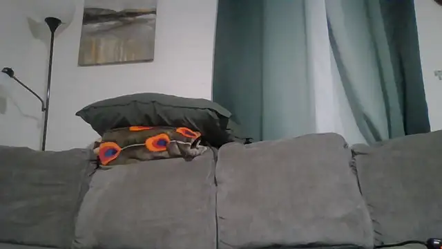 TWiSTYTheTwizted webcam