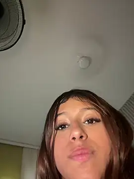 dafne17_ webcam