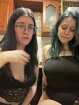 SleepingDuo webcam