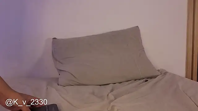 sofiesoft webcam
