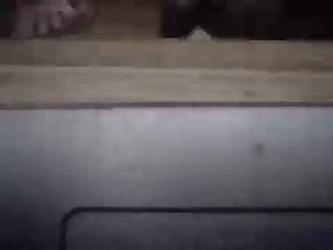 BrunoAlphaBR live cam on StripChat