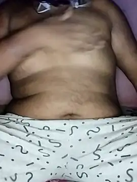 sissybar webcam