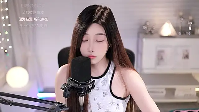 SleepArtist webcam