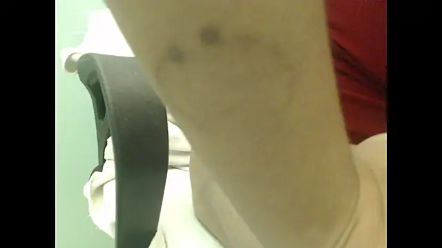 Model29 webcam
