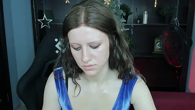 LidaDarknet webcam